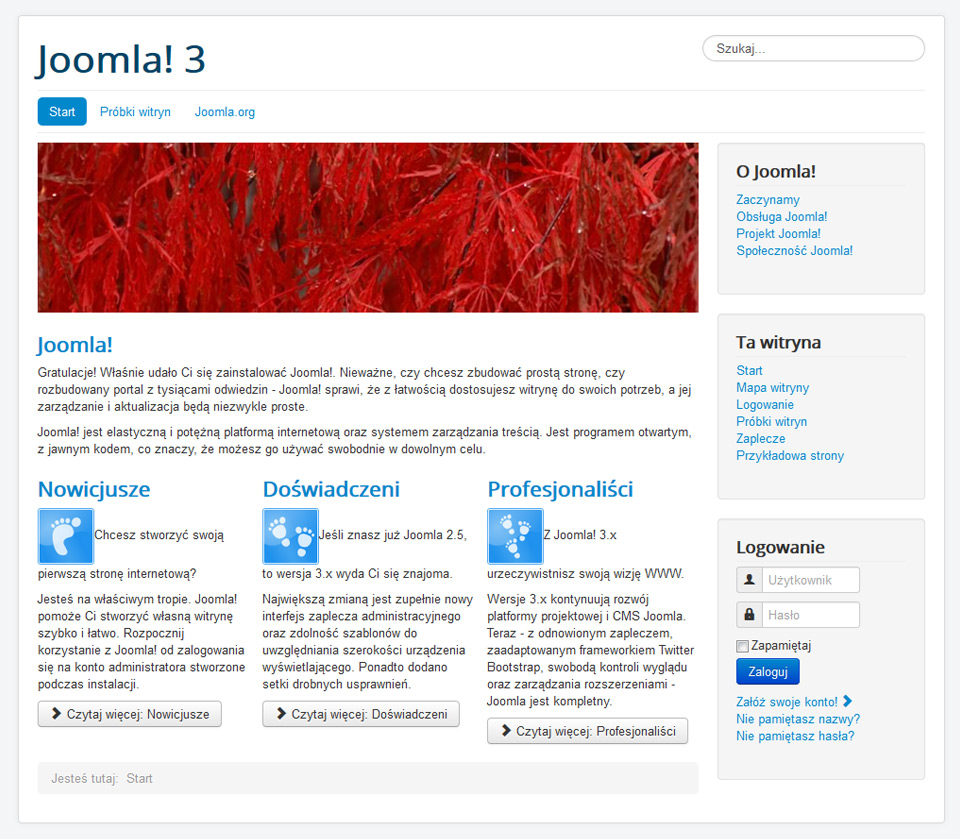 responsywne strony www Lublin na joomla - serwer lokalny na JAMP