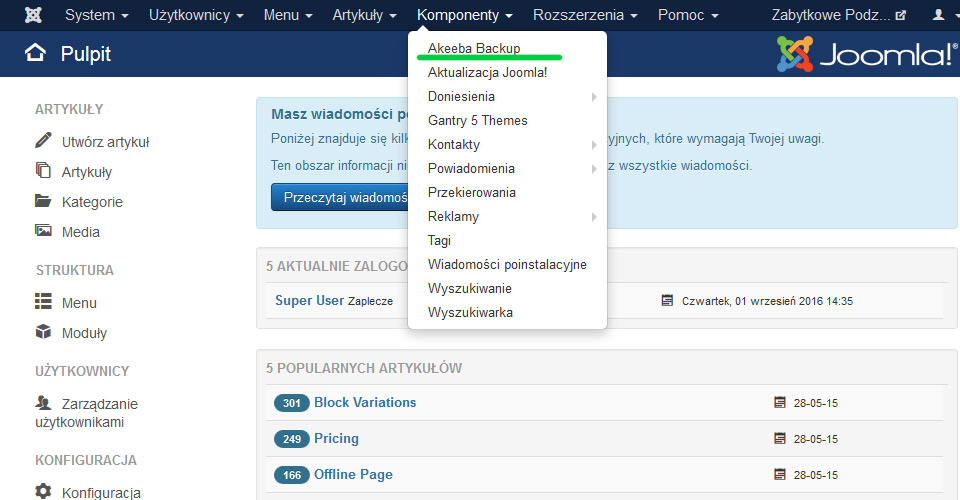 Projektuję strony internetowe Lublin na Joomla