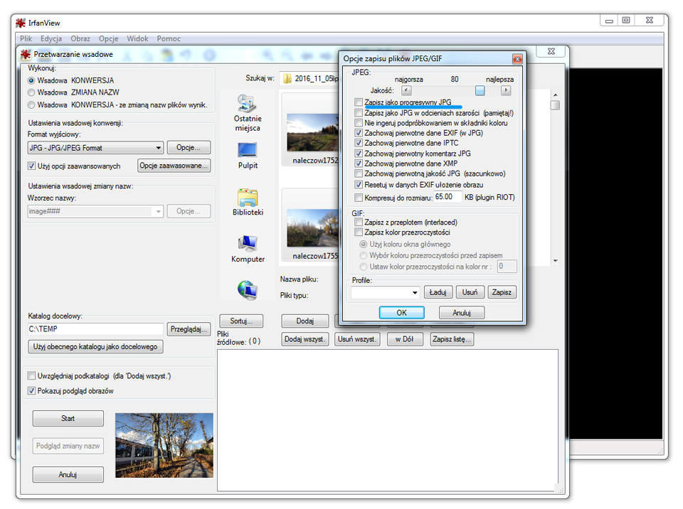IrfanView - zmniejszanie fotografii na strony www Lublin na joomla