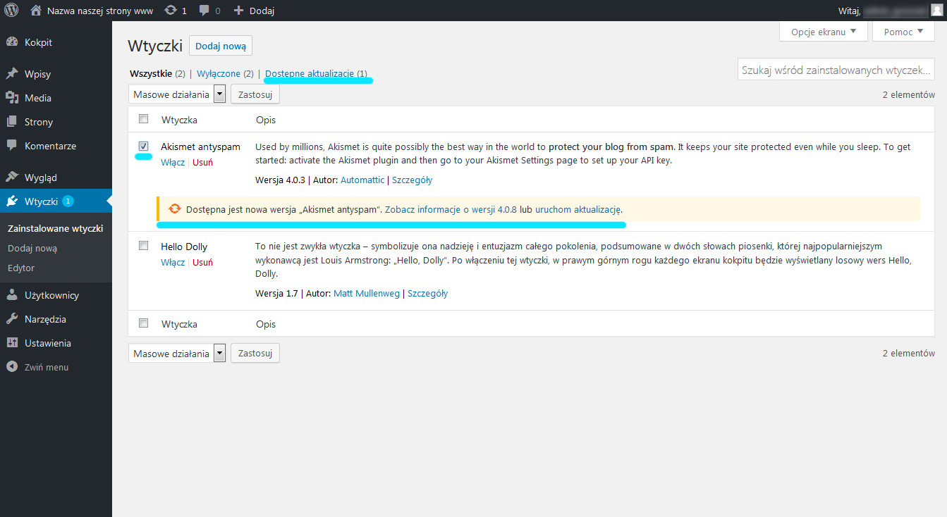 Aktualizacja wtyczek do WordPress za pomocą panelu aktualizacje - strony internetowe Lublin na Wordpress