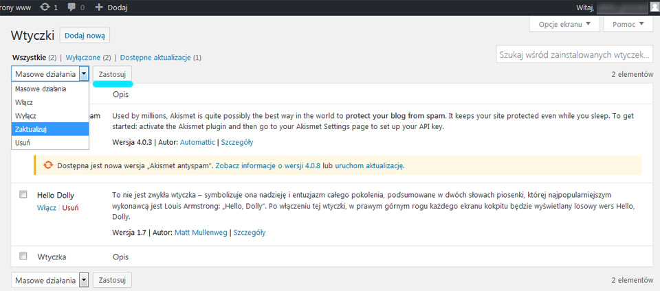 Aktualizacja wtyczek do WordPress za pomocą panelu aktualizacje - strony internetowe Puławy na Wordpress