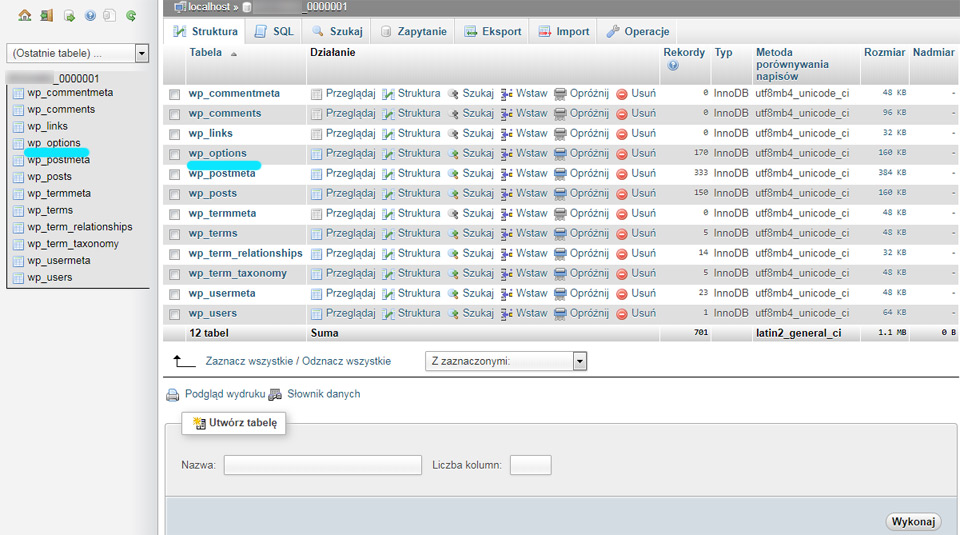 Jak zmienić domenę Wordpress - strony www Puławy na WordPress