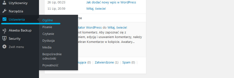 opis, tytuł, wordpress